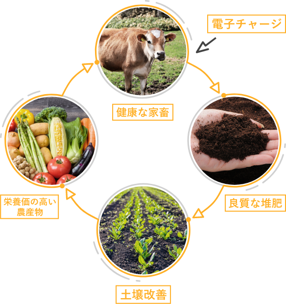 サイクル農法イメージ